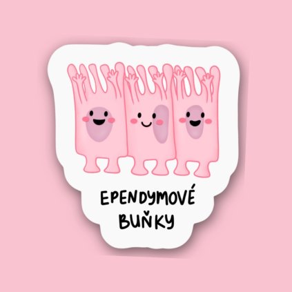 Naklejka Komórki ependymalne
