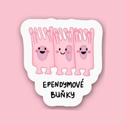 Sticker Ependymal cells