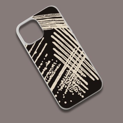 Kryt mikrobiologie streptokok