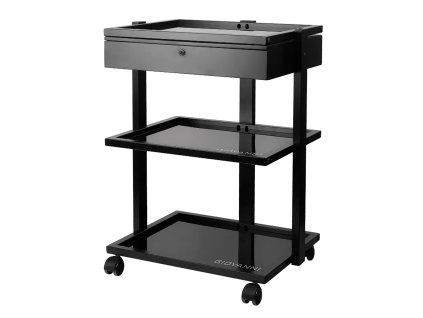 Tetovací asistent Pro Ink 1040A black