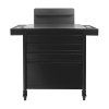 Tetovací asistent Pro Ink 701 black
