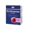 1693560518 gs echinacea forte 600 vitamin c 30 tablet resize fit 1920 1080
