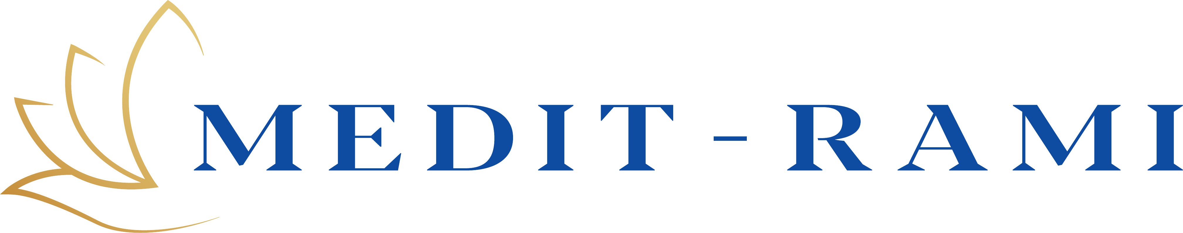 MEDIT-RAMI