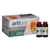 ARTIlane classic vial SINGLE V1