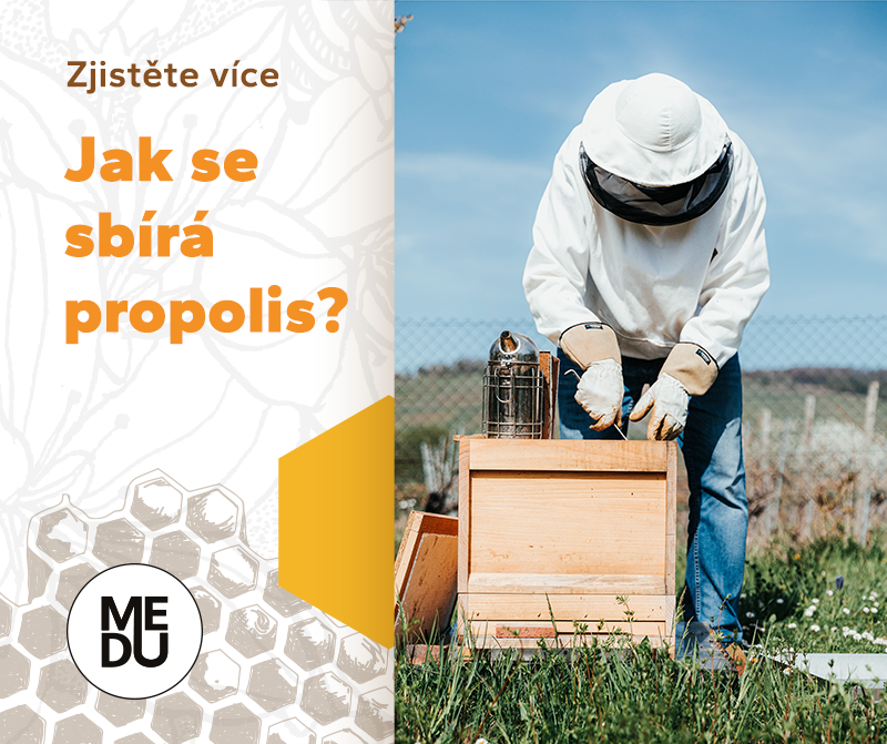O propolisu