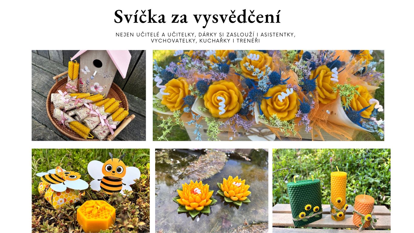 vysvědčení 1