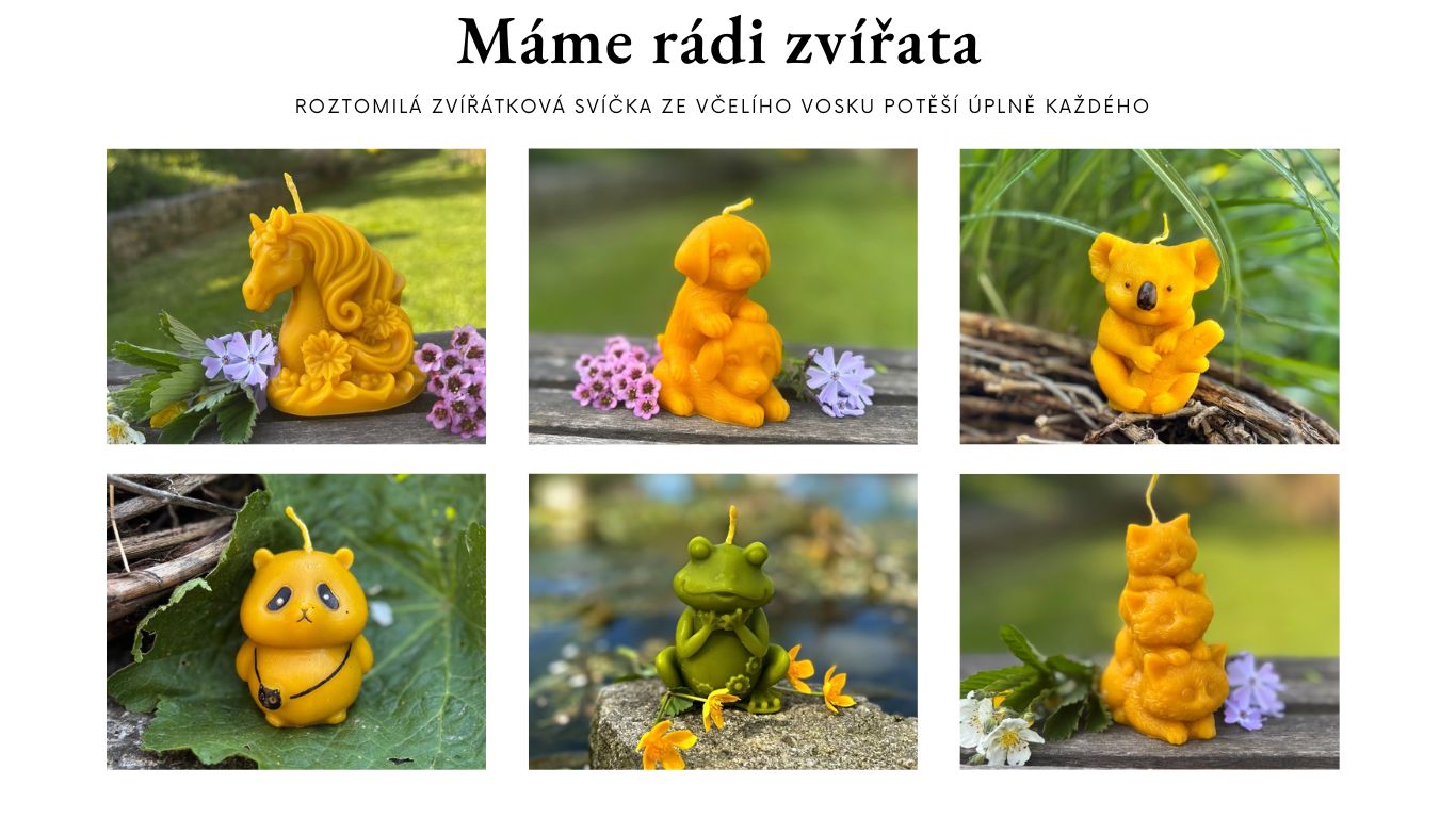 Zvířátkové svíčky