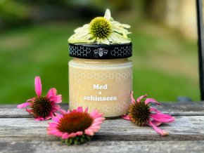 echinacea1