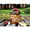 med a lískové ořechy1