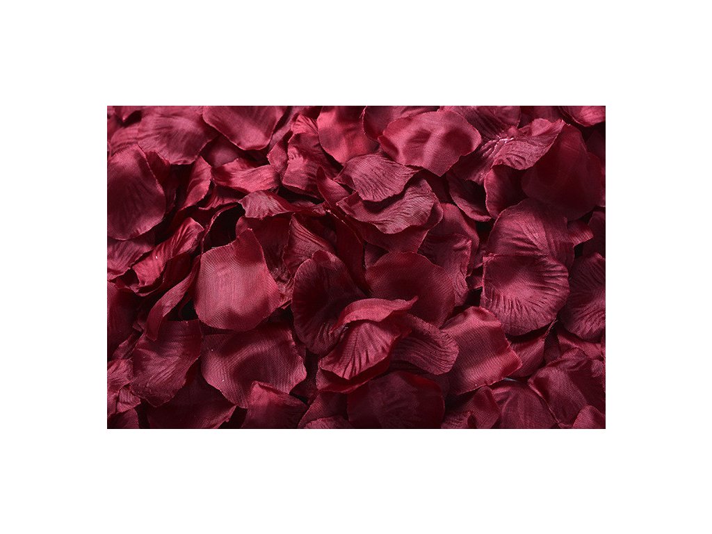 tmave cervena bordo (kopie)