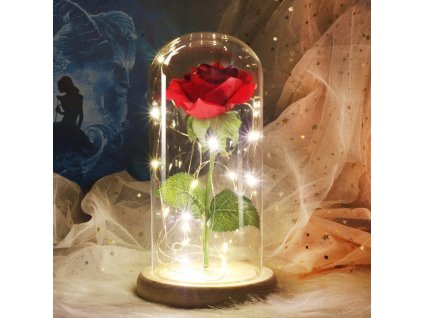 ruze sklo cervena foto