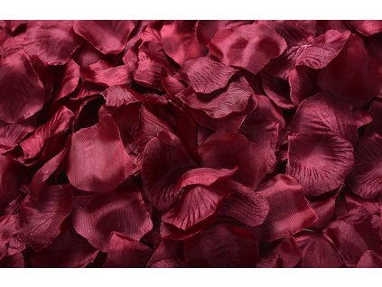 tmave cervena bordo (kopie)