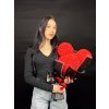 Photoroom 004 20240211 094907
