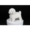 6017 2 cutepets plysovy pes bily stene 2c