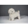 6017 cutepets plysovy pes bily stene 2c