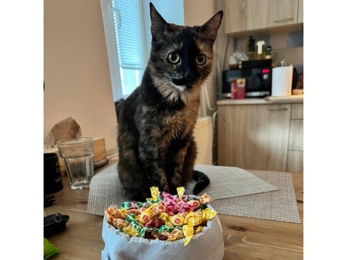 Obrázek WhatsApp, 2025 09 03 v 12.29.32 1afa7738 cr