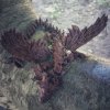 okridleny drak 04