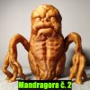Mandragora č. 2