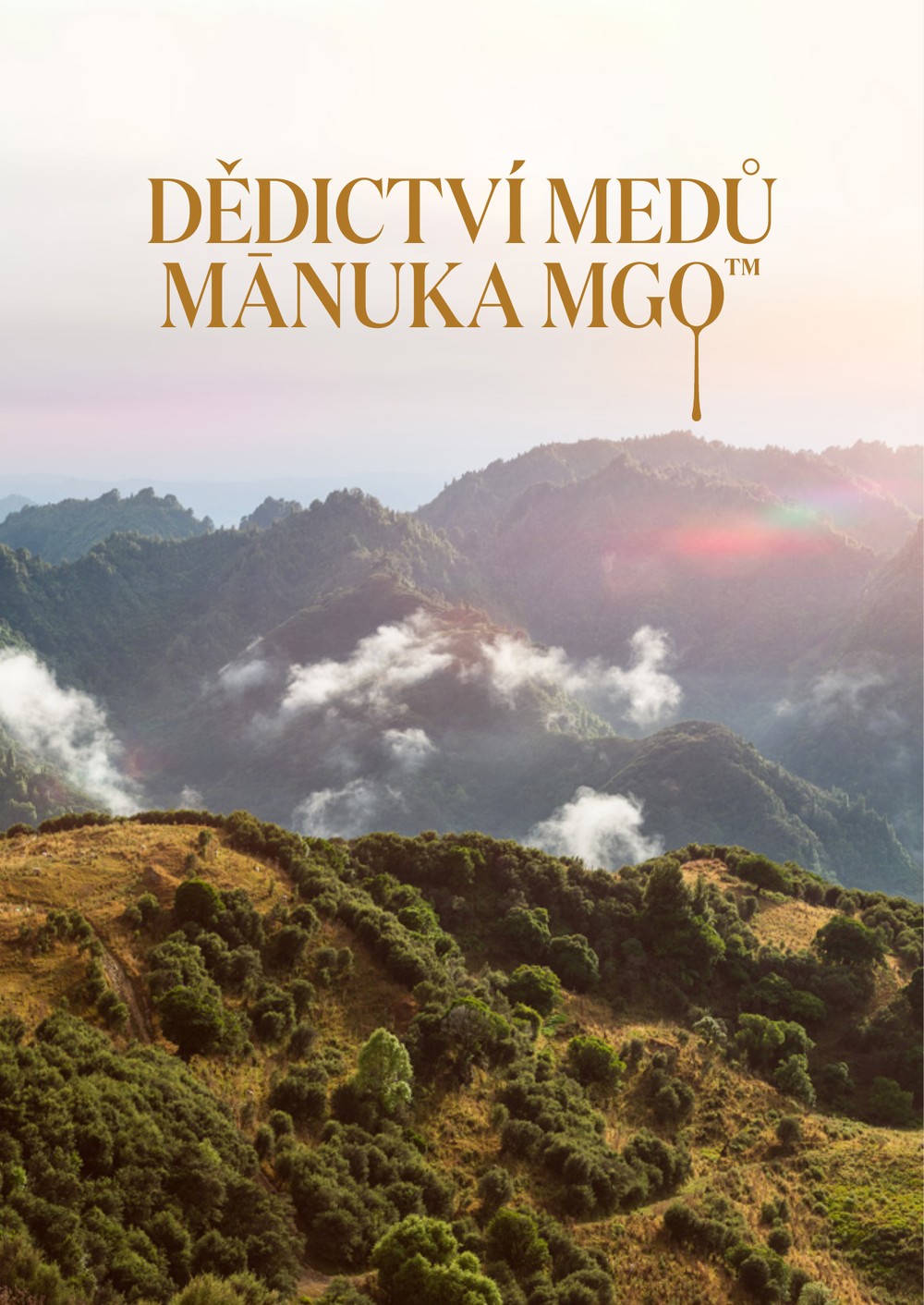 nahled_booklet_dedictvi_medu_manuka