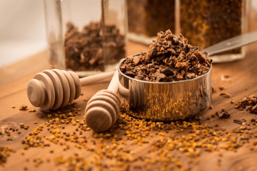 Surový propolis – včelí tmel