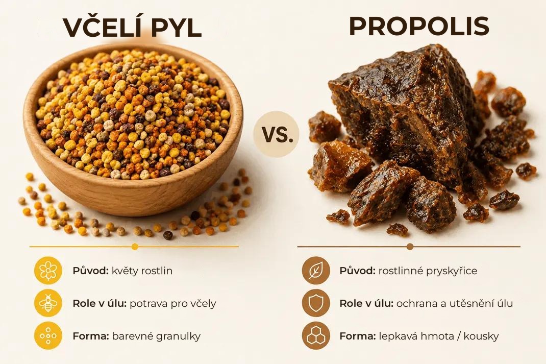 Včelí pyl vs. propolis