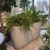 ORGANIC XXL planter