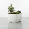 organic S white 2 web