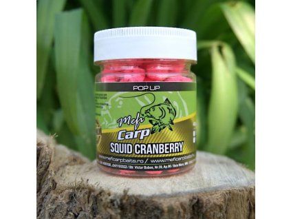 squid cranberry pop up