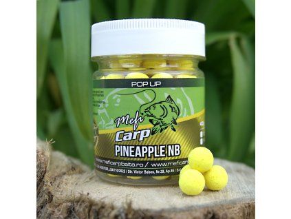 d7563d67 21ba 4bd6 99ac ba0ae3a8022c