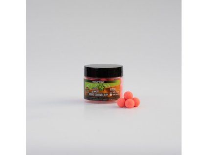 squid cranberry wafters