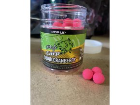 Squid-Cranberry pop-up