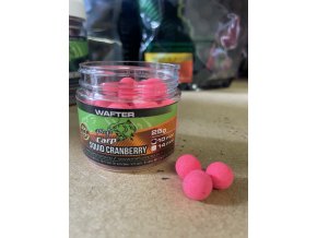 Squid-Cranberry  wafter 25g