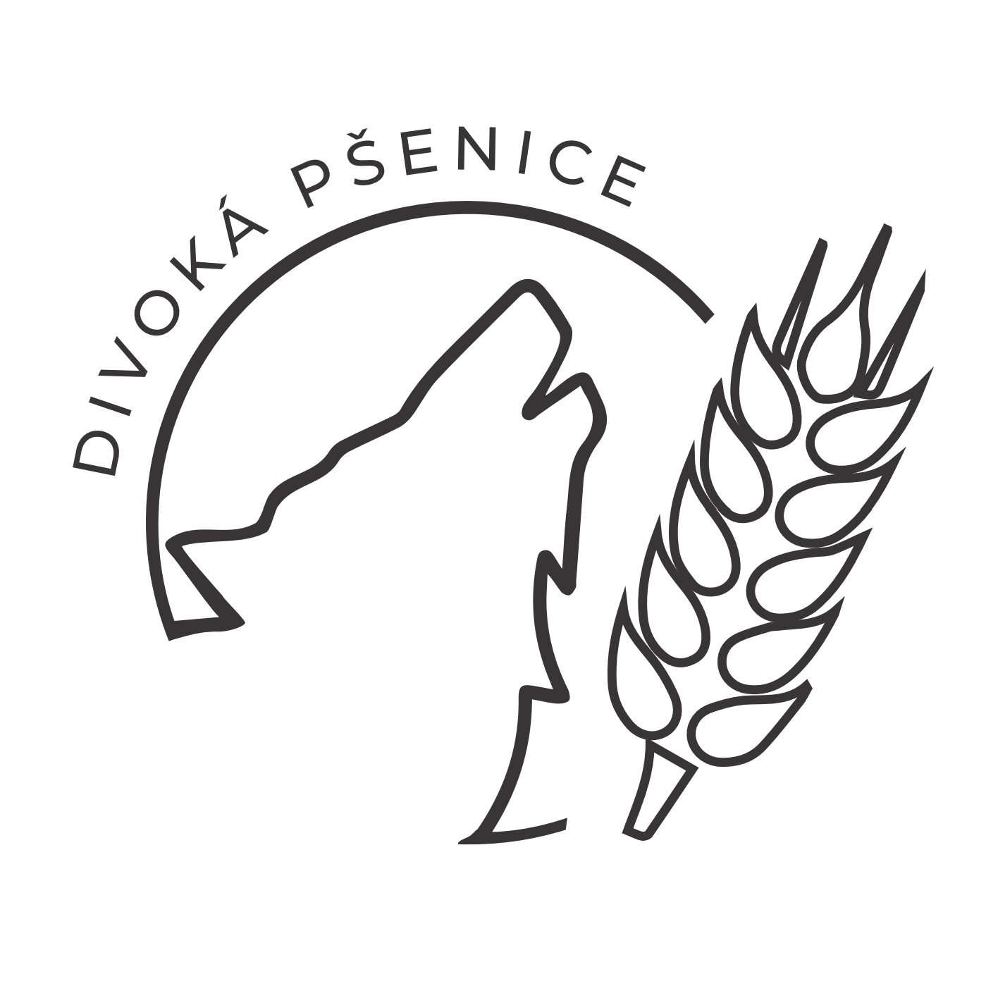 logo-divoka-psenice-zm