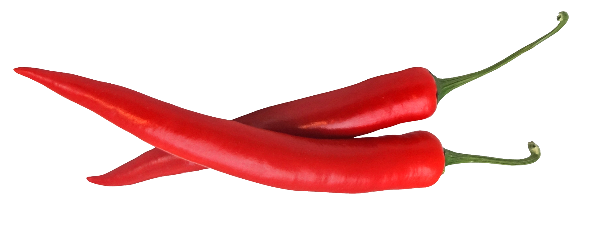 divoka-psenice-chili-2+