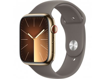 Apple Watch Series 9 Cellular 45mm Zlatá ocel s jílově šedým sportovním řemínkem S/M  Nevíte kde uplatnit Sodexo, Pluxee, Edenred, Benefity klikni