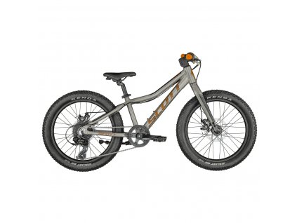 SCO Bike Roxter 20 silver (KH) 1 size  Nevíte kde uplatnit Sodexo, Pluxee, Edenred, Benefity klikni