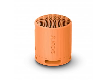 Sony Sony SRS-XB100, oranžová  Nevíte kde uplatnit Sodexo, Pluxee, Edenred, Benefity klikni