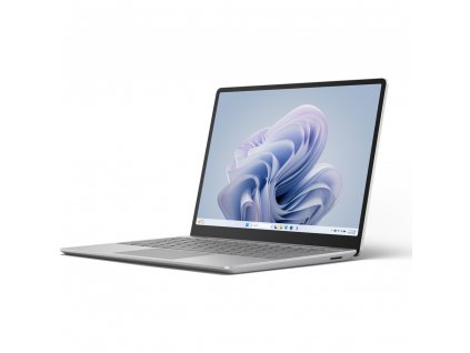 Microsoft Surface Laptop Go 3 (XK1-00030) platinová  Nevíte kde uplatnit Sodexo, Pluxee, Edenred, Benefity klikni