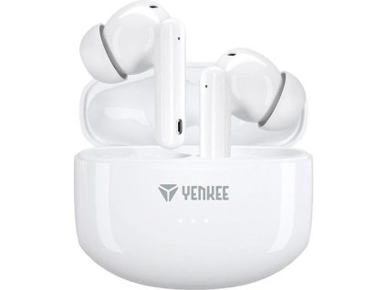 77A4000N01 1000 1000