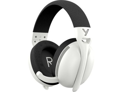 V3I9000P01 1000 1000