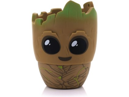 Q08D000L01 1000 1000