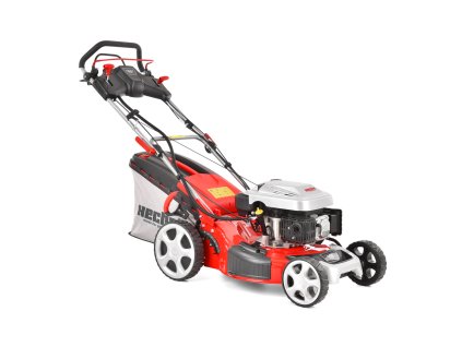 HECHT 5534 SWE od 2022