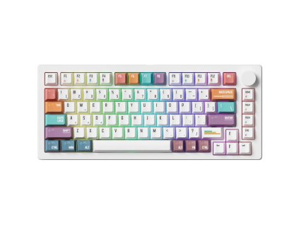 V0OG000K01 1000 1000