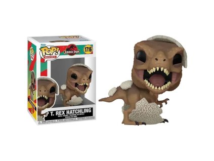 B1OG000J01 1000 1000