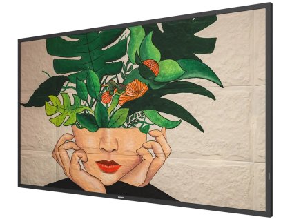 philips 50bdl4511d ien433845