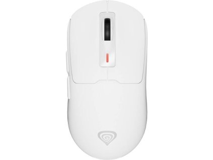 PXSE000K01 1000 1000