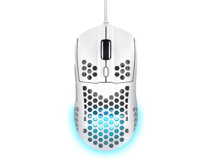 5CZ6000K01 1000 1000