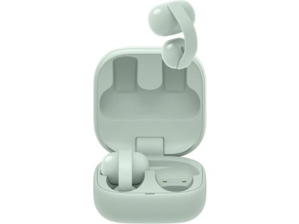 d c2fc5d32d40a4eb798d9bf421bc395f8 1000 1000