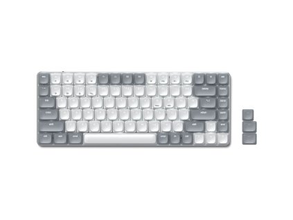 ROX5000O01 1000 1000