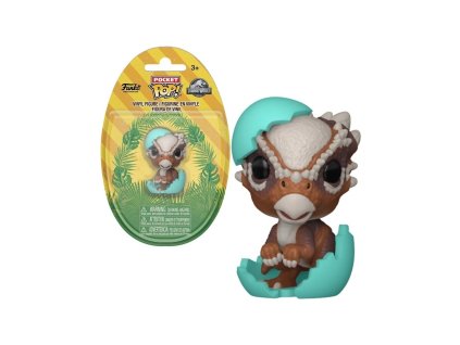 d 052292c7d66949ec94c34c1e2fd5b807 1000 1000